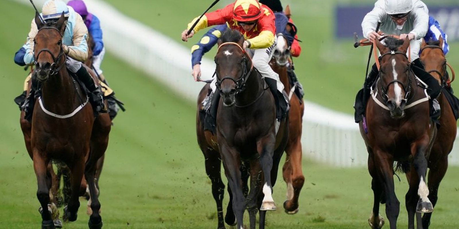 Three horses fighting out the finish