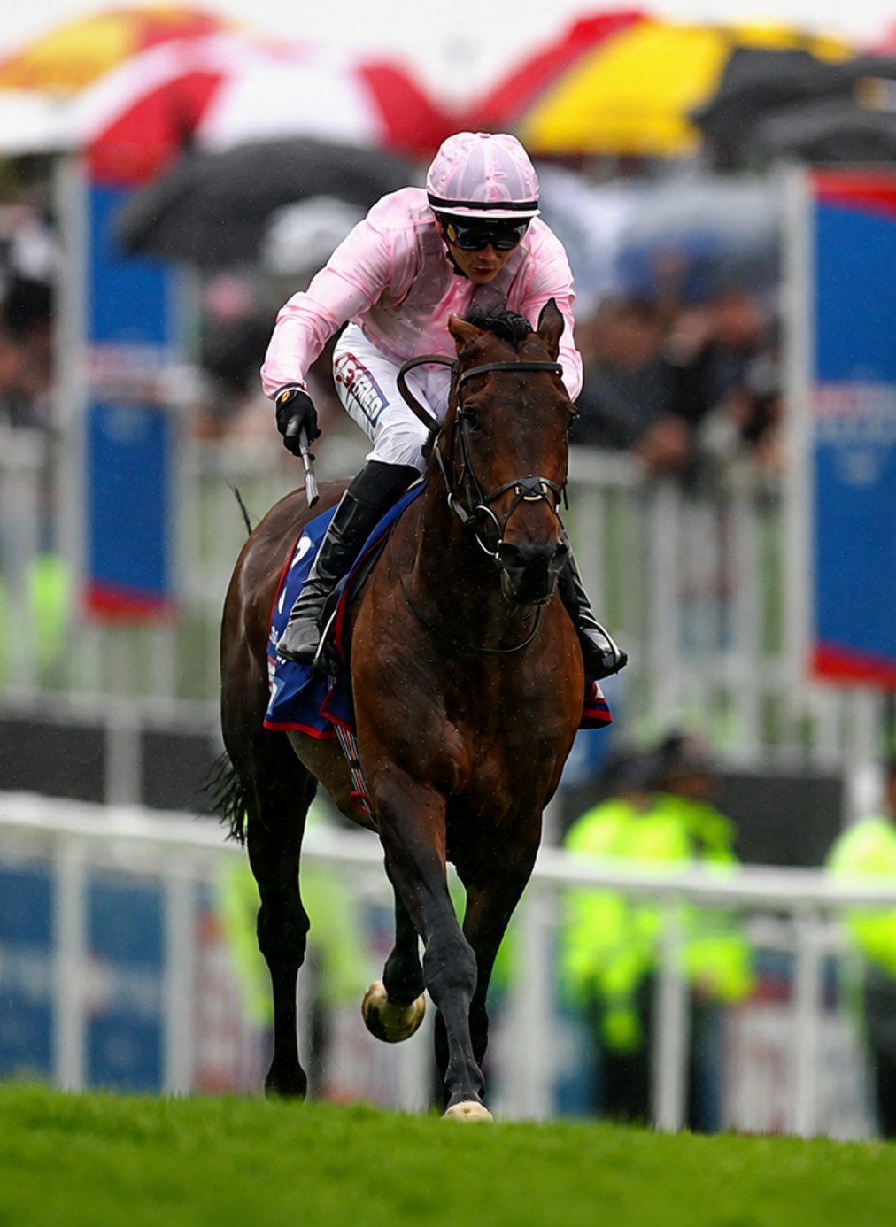 A jockey in pink silks driving a horse to the line