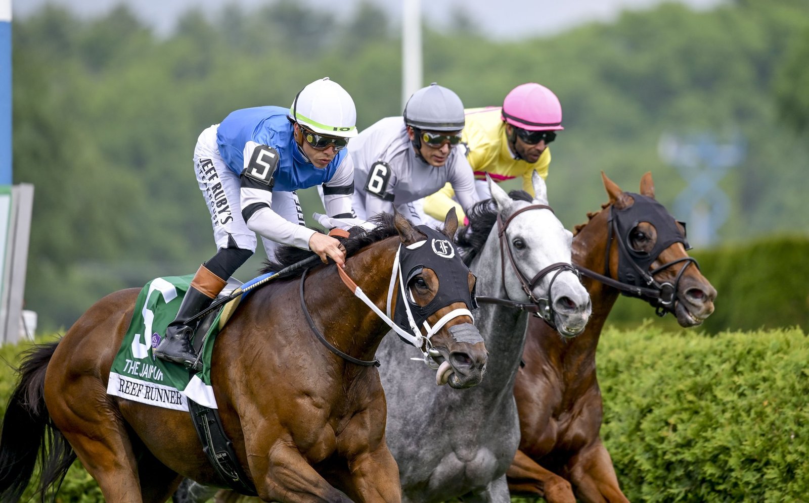 Thoroughbreds racing neck and neck down the home straight